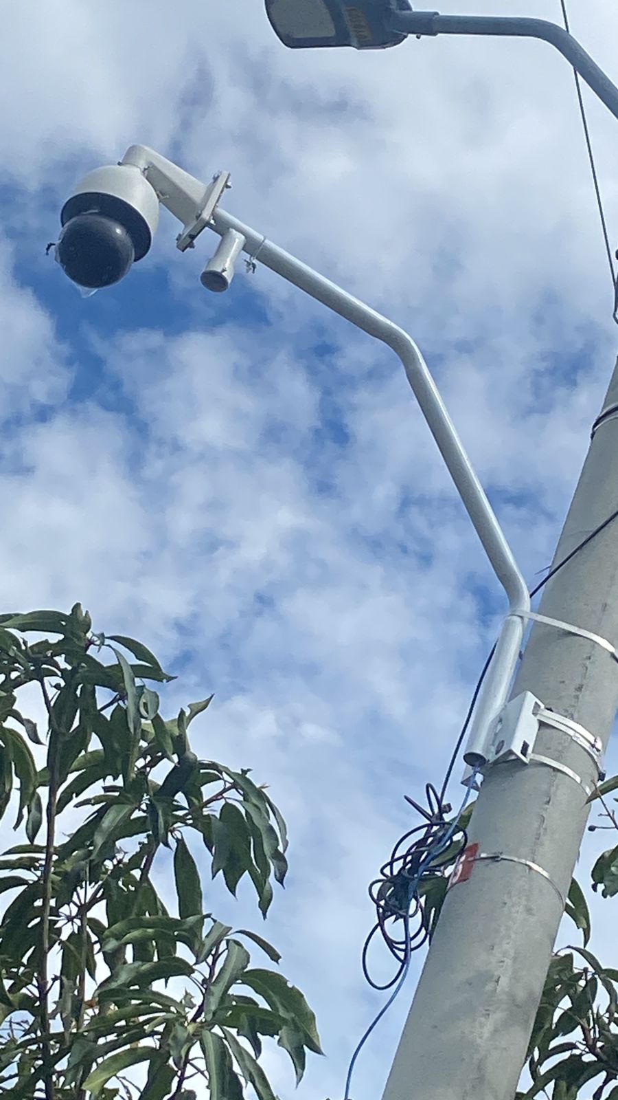 IMG-20250103-WA0004 IMG-20250103-WA0004